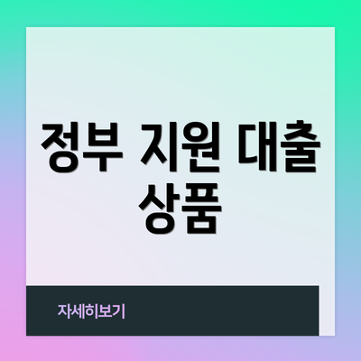 정부 지원 대출 상품