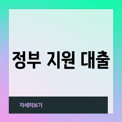 정부 지원 대출