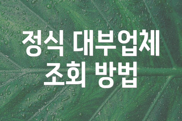 정식 대부업체 조회 방법