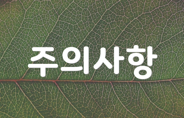 주의사항