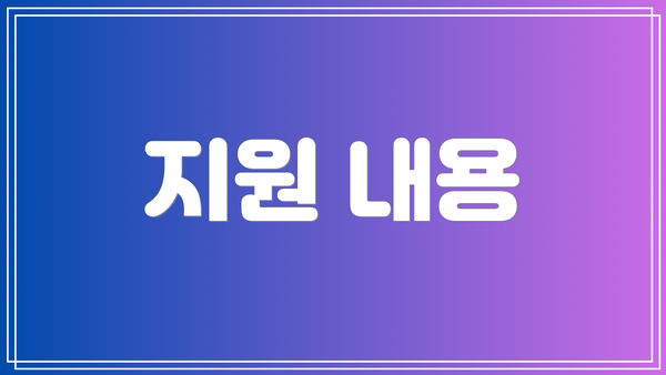 지원 내용