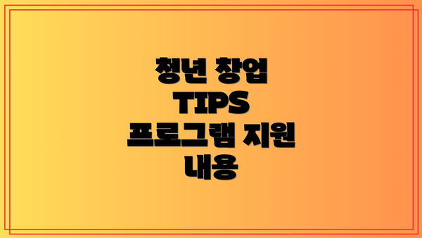 청년 창업 TIPS 프로그램 지원 내용