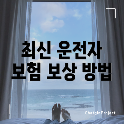 최신 운전자 보험 보상 방법