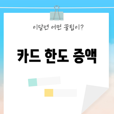 카드 한도 증액