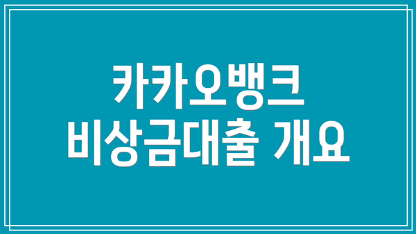 카카오뱅크 비상금대출 개요