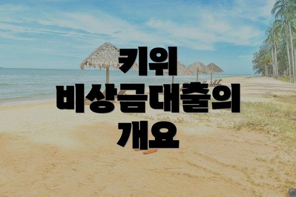 키위 비상금대출의 개요