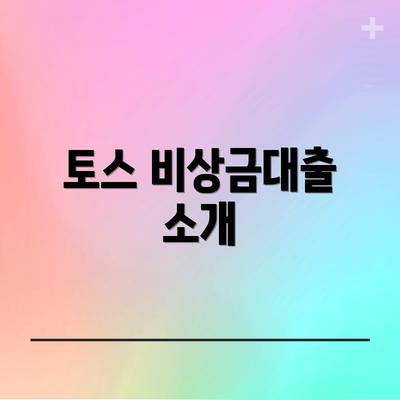 토스 비상금대출 소개