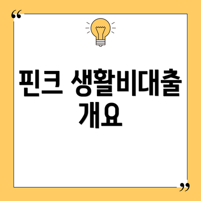 핀크 생활비대출 개요