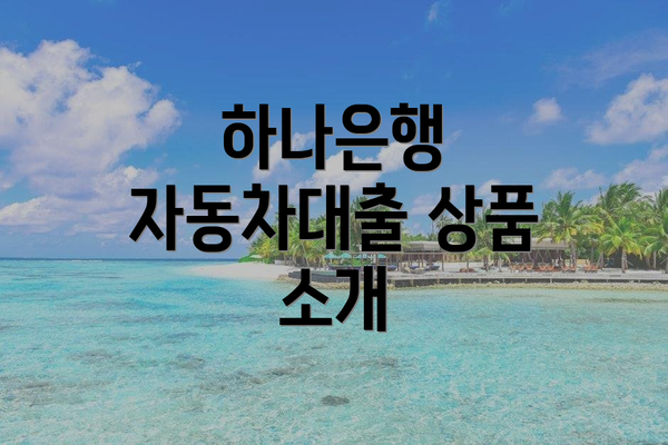 하나은행 자동차대출 상품 소개