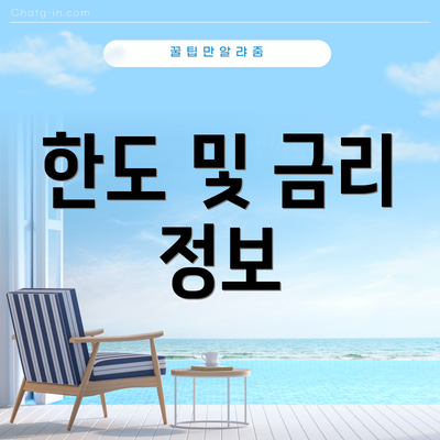 한도 및 금리 정보