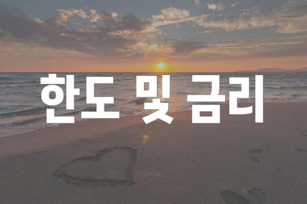 한도 및 금리