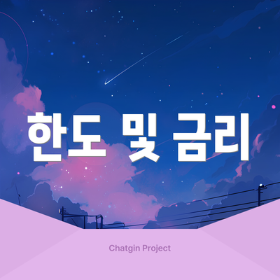 한도 및 금리