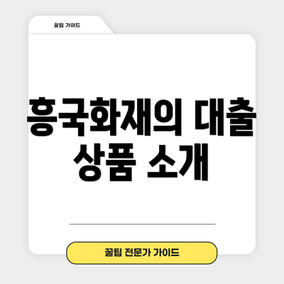 흥국화재의 대출 상품 소개