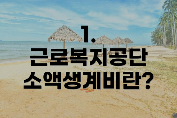 1. 근로복지공단 소액생계비란?