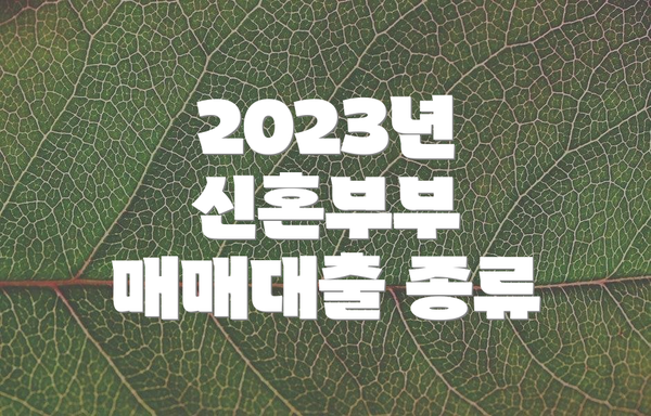 2023년 신혼부부 매매대출 종류