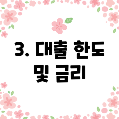 3. 대출 한도 및 금리