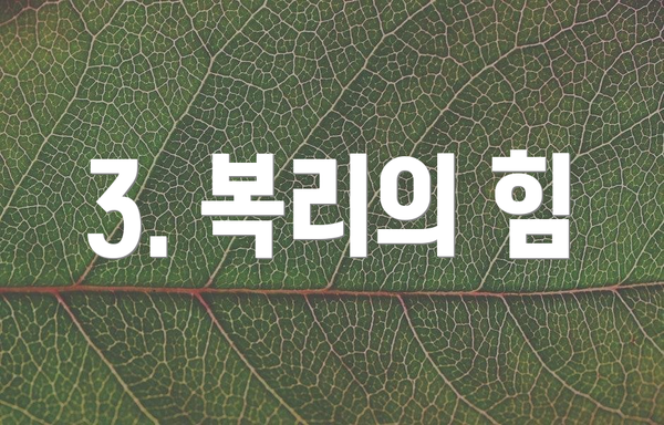 3. 복리의 힘
