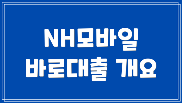 NH모바일 바로대출 개요