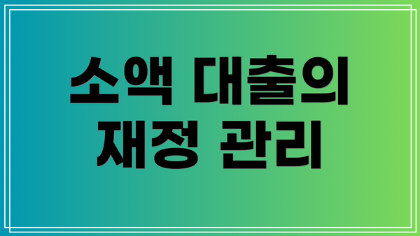 소액 대출의 재정 관리
