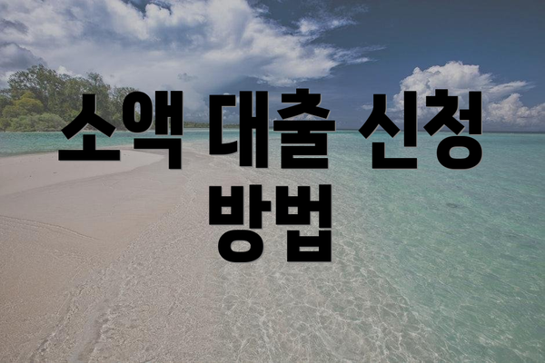 소액 대출 신청 방법