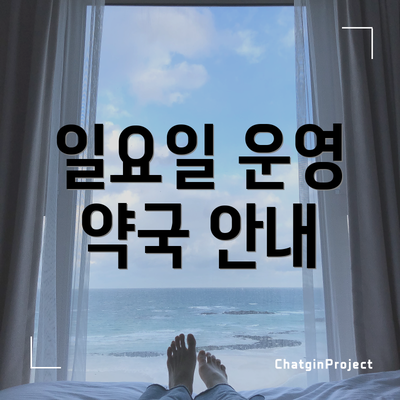 일요일 운영 약국 안내