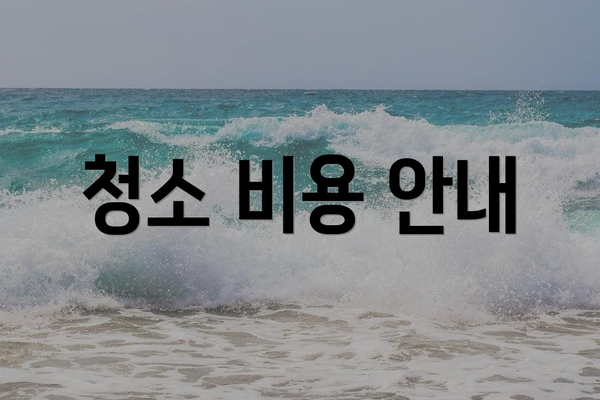 청소 비용 안내