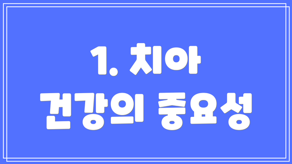 1. 치아 건강의 중요성