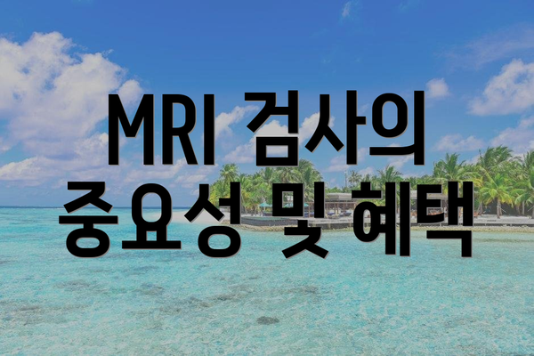 MRI 검사의 중요성 및 혜택