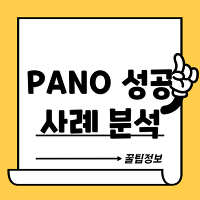 PANO 성공 사례 분석