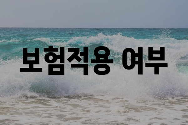 보험적용 여부