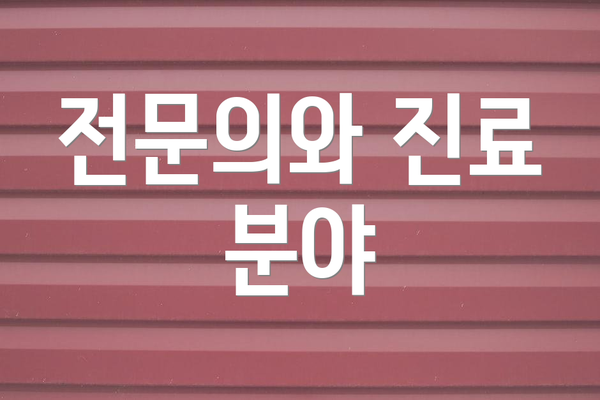 전문의와 진료 분야