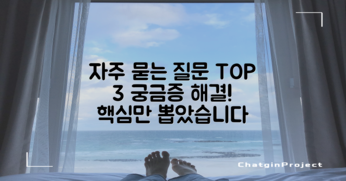 자주 묻는 질문