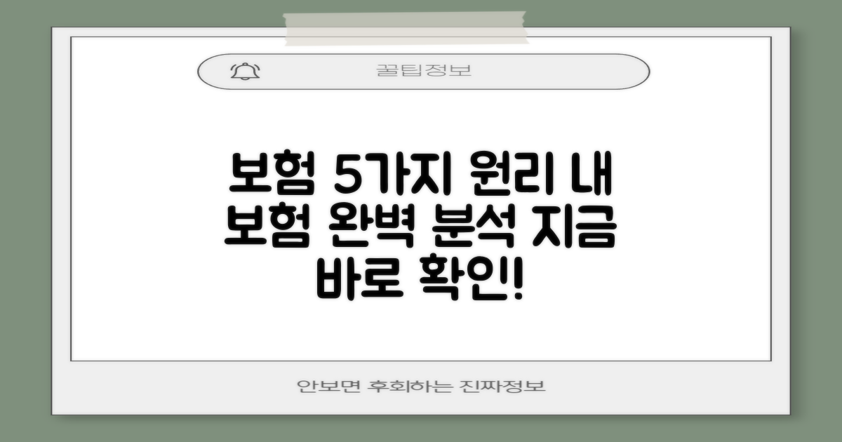 5가지 핵심 원리: 내 보험 조회 및 분석 완벽 가이드