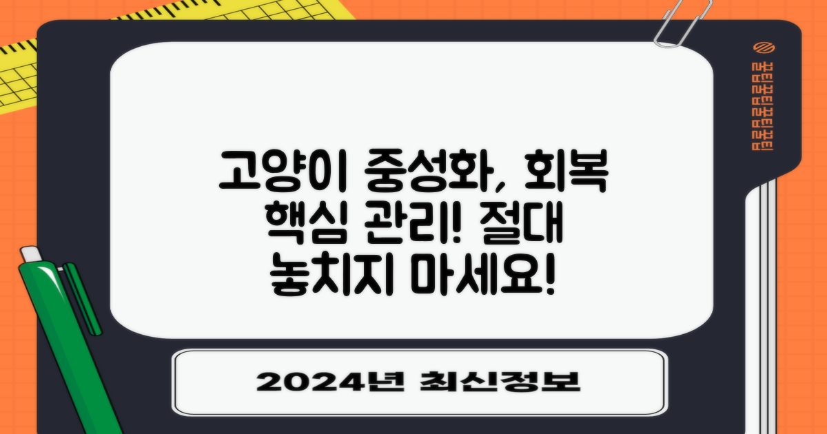고양이 중성화 수술 후 효과적인 관리와 중요한 주의점