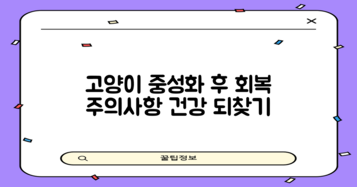 고양이 중성화 수술 후: 효과적인 관리와 중요한 주의점