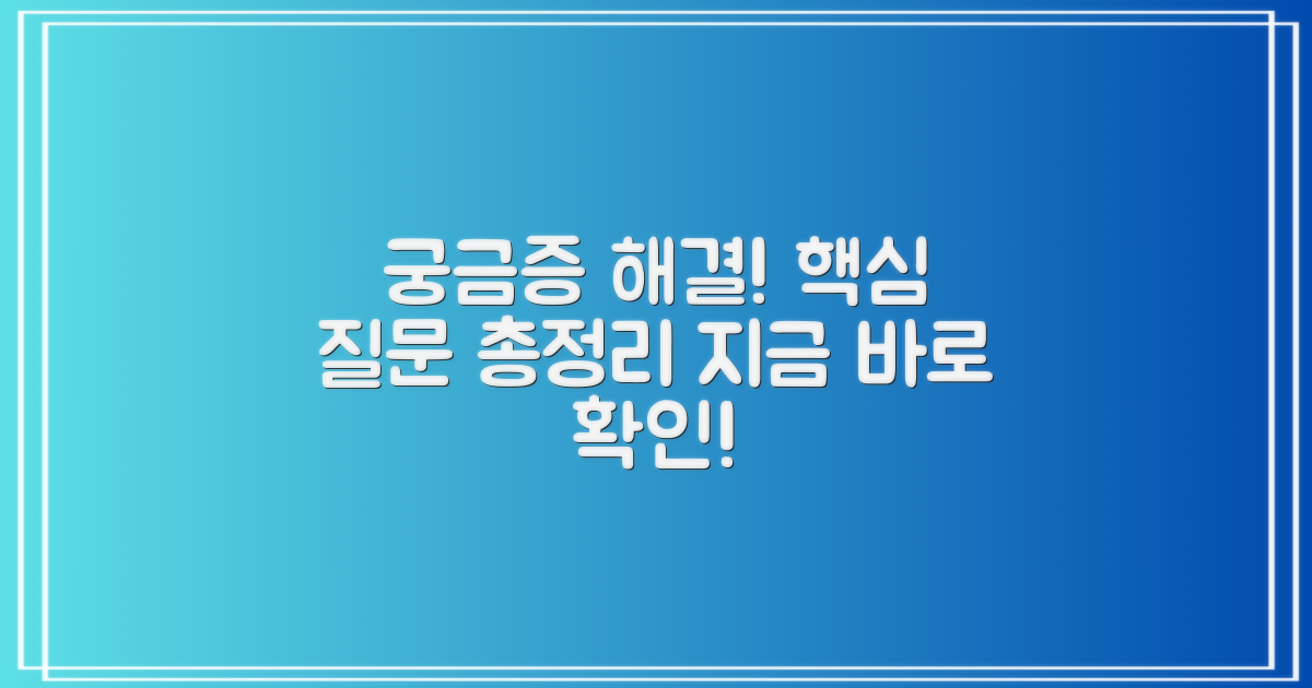 자주 묻는 질문