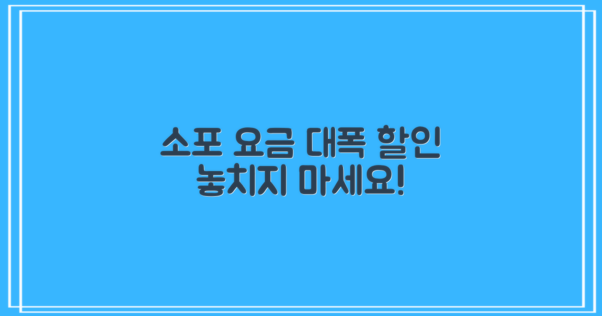 합리적인 이용을 위한 소포 요금 감액 혜택