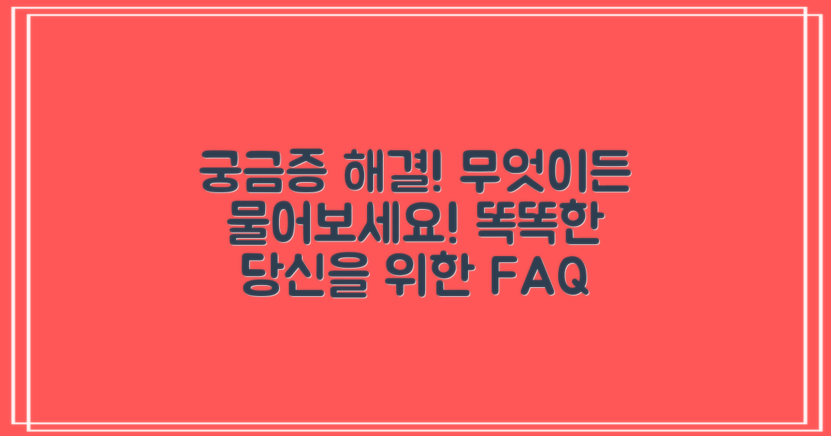 자주 묻는 질문