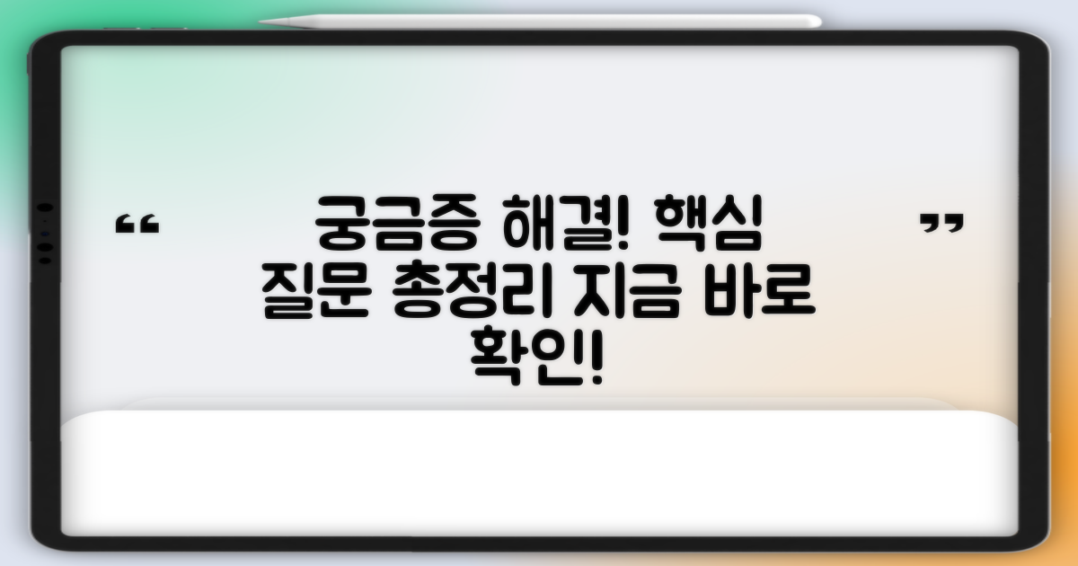 자주 묻는 질문