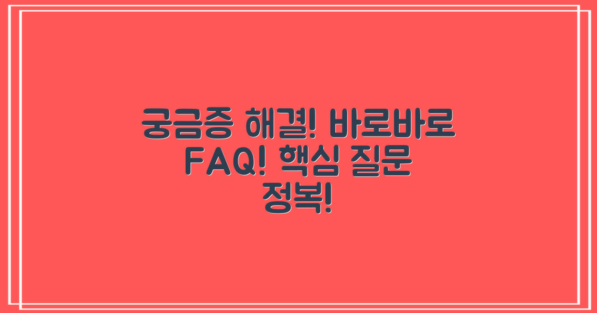 자주 묻는 질문