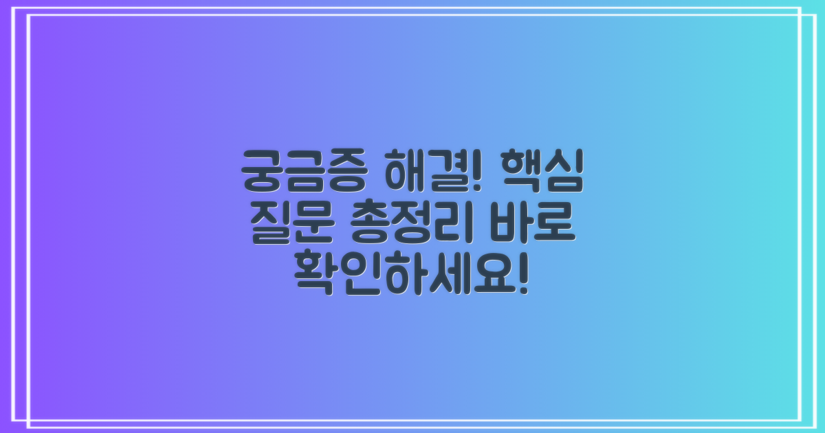 자주 묻는 질문